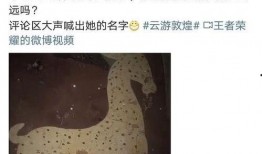 瑶妹最新皮肤爆料视频下载